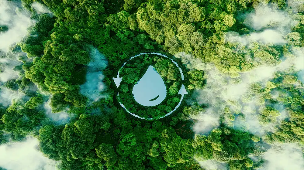 Ein wassertropfenförmiger See inmitten unberührter Natur.